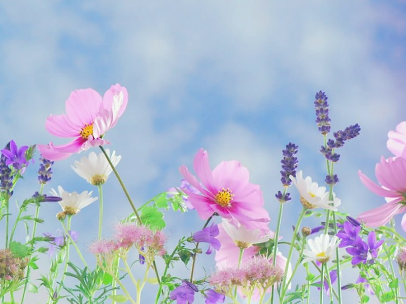 19/07/2018-6 Happiest Colours for Summer Decor